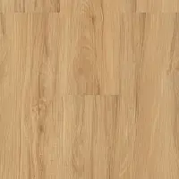 ECOLINE CLICK 9560 BUK VITA