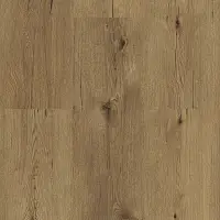 ECOLINE CLICK 9524 DUB ITALSKÝ PŘÍRODNÍ