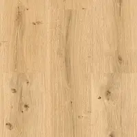 ECOLINE CLICK 9591 DUB KRÁLOVSKÝ SVĚTLÝ